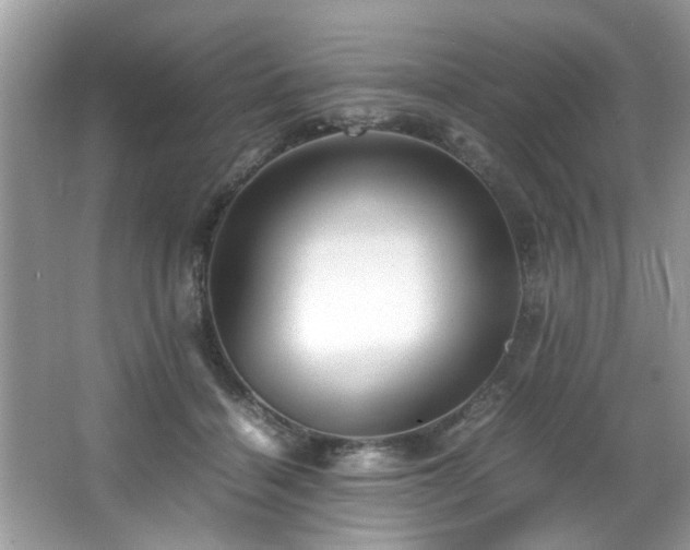 X0000065960460200603061155