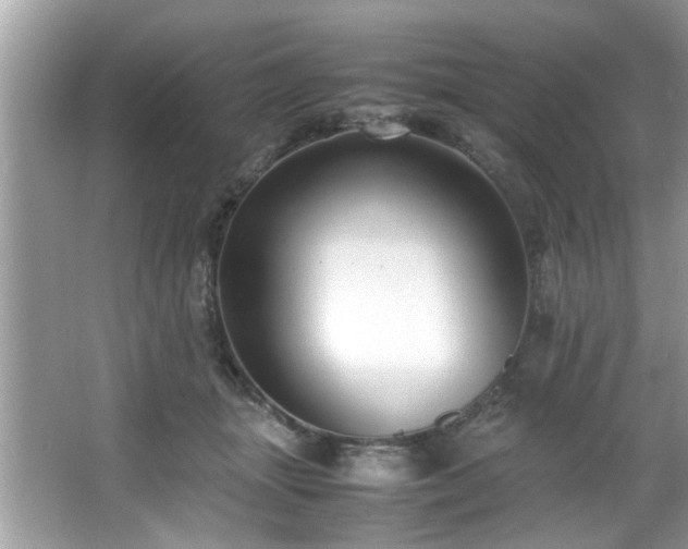 X0000065960463200603061155