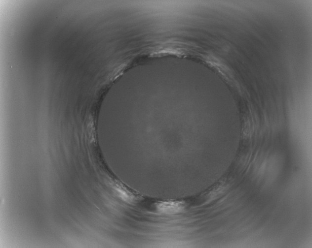 X0000065960465200603061155
