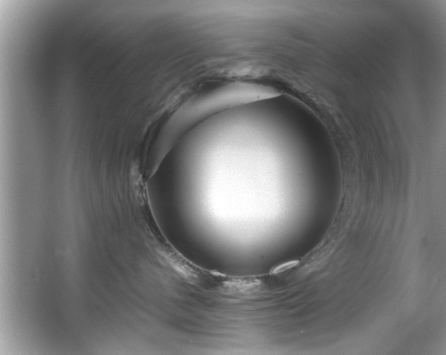X0000065960480200603061155