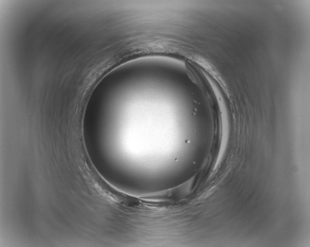 X0000065960481200603061154