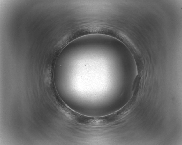 X0000065960497200603061154