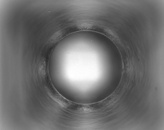 X0000065960498200603061154