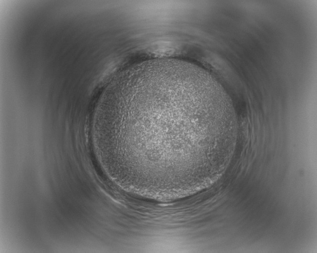 X0000065960499200603061154
