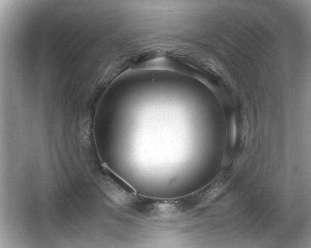 X0000065960509200603061154
