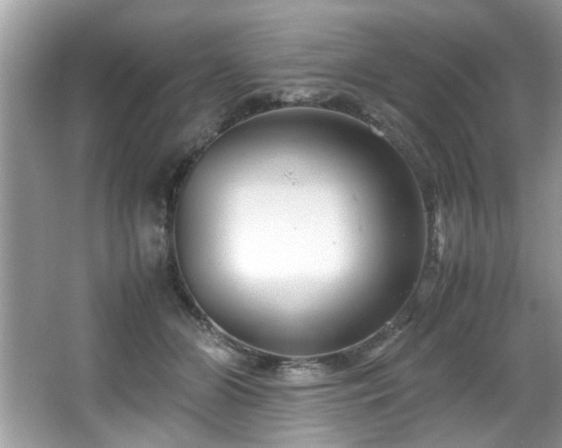 X0000065960510200603061154