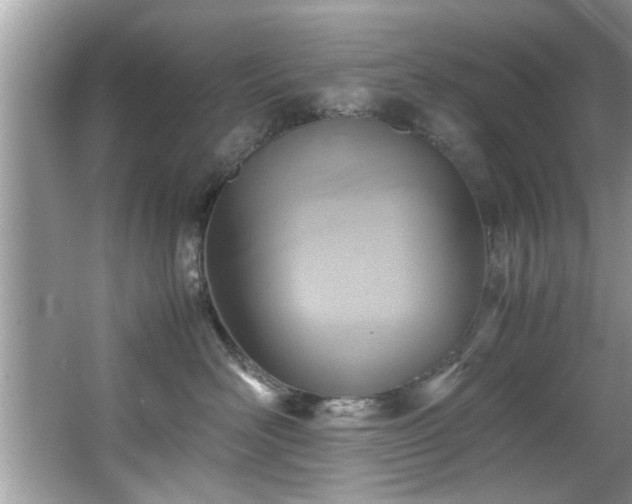X0000065960526200603061154