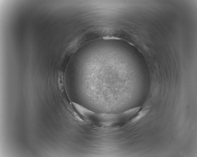 X0000065960528200603061153