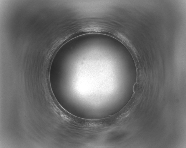 X0000065960529200603061153