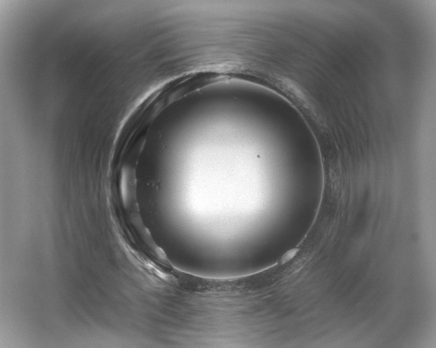 X0000065960532200603061153