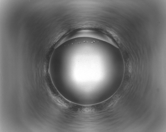 X0000065960546200603061153
