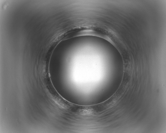 X0000065960548200603061153