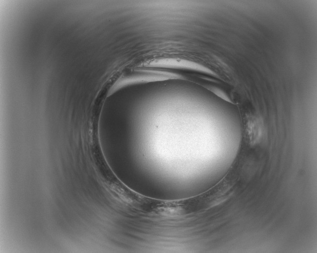 X0000065960552200603061153