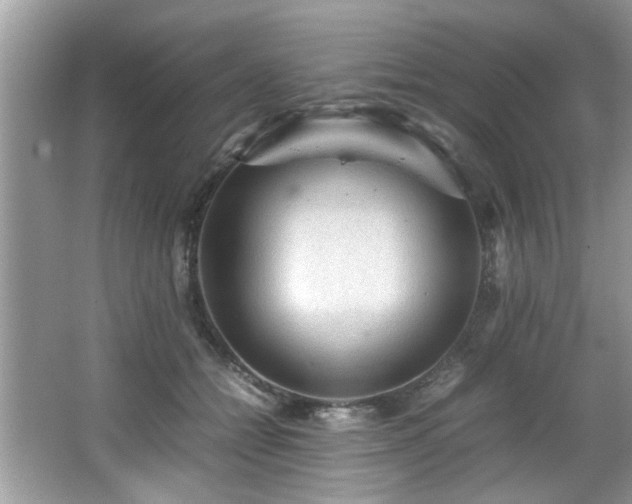 X0000065960558200603061153
