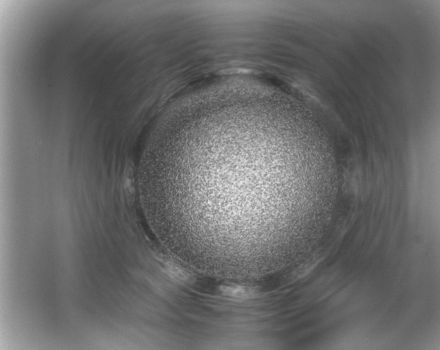 X0000065960561200603061153