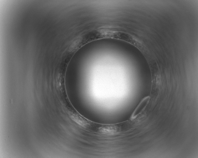 X0000065960567200603061153