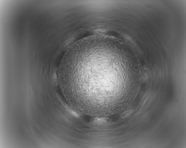X0000065960573200603061153