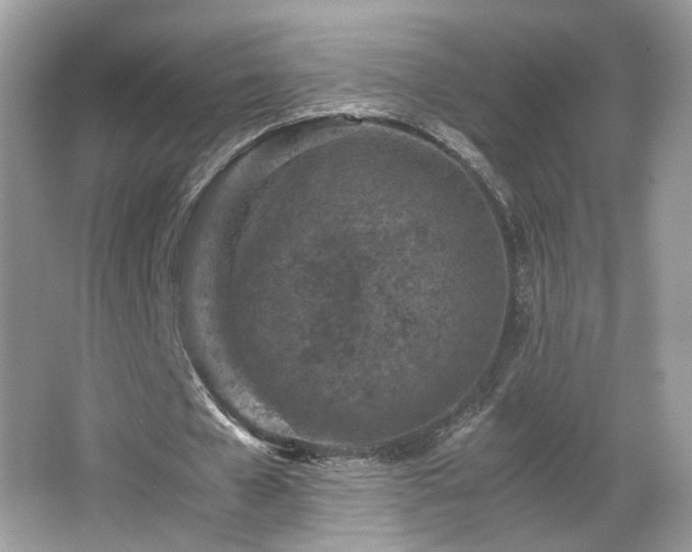 X0000065960577200603061153