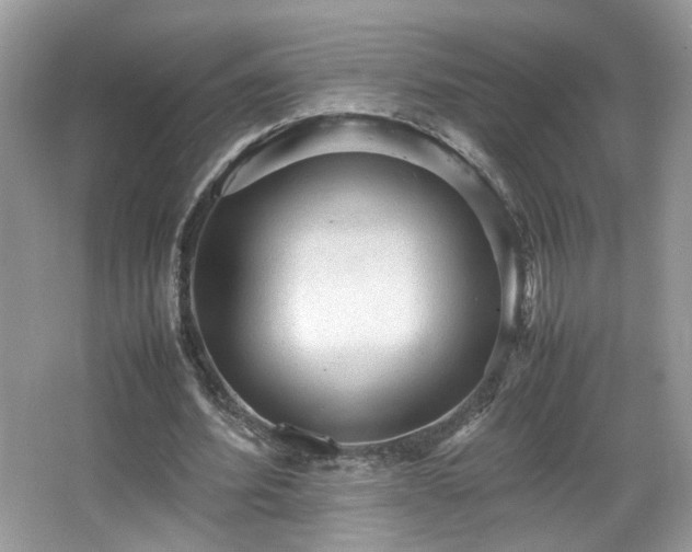 X0000065960580200603061153