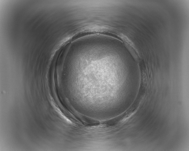 X0000065960581200603061153