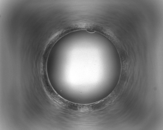 X0000065960587200603061152