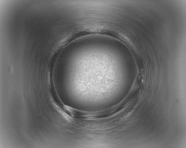 X0000065960589200603061152