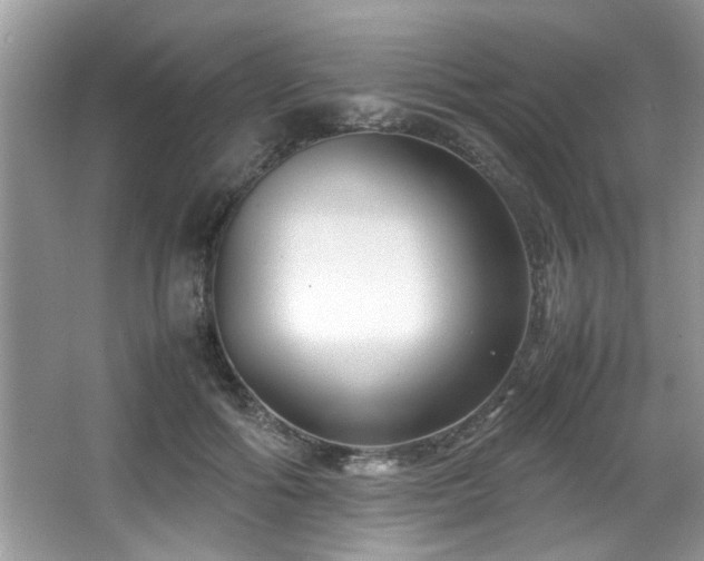 X0000065960602200603061152