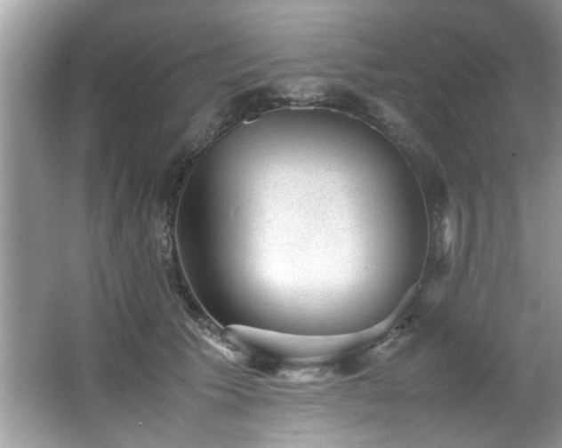 X0000065960609200603061152