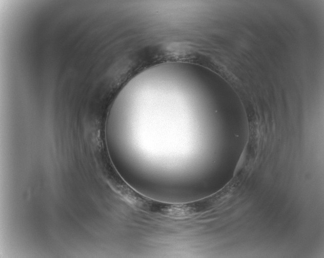 X0000065960615200603061152