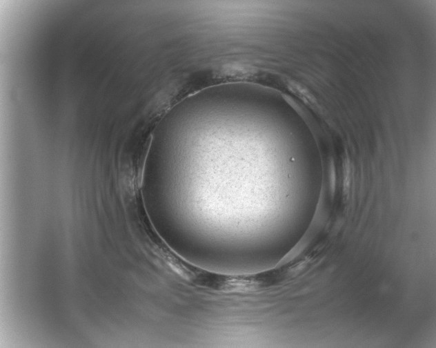 X0000065960617200603061152