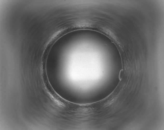 X0000065960629200603061151