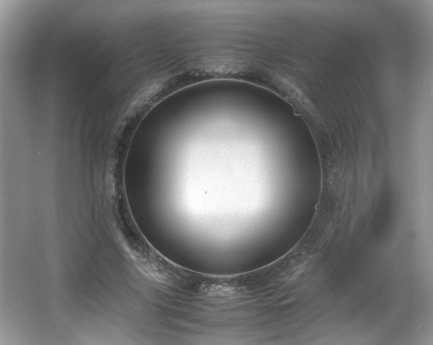 X0000065960635200603061151