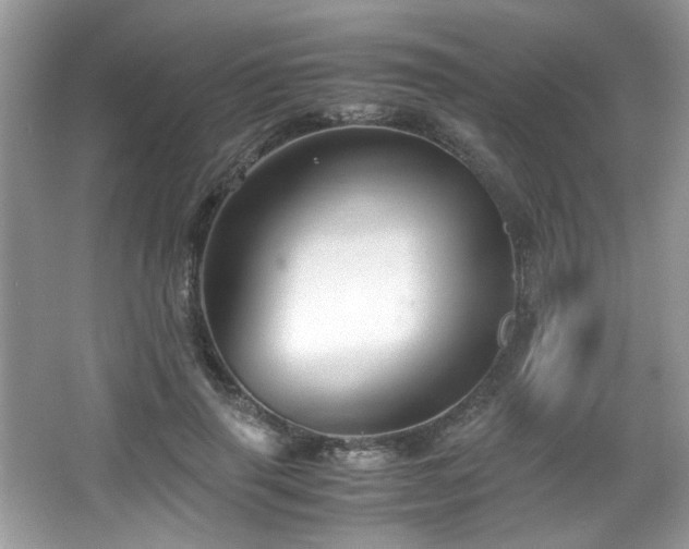 X0000065960645200603061151