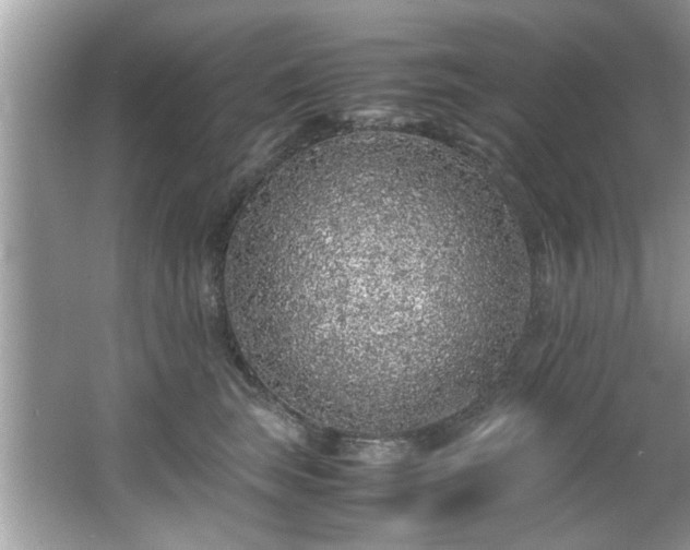 X0000065960663200603061152