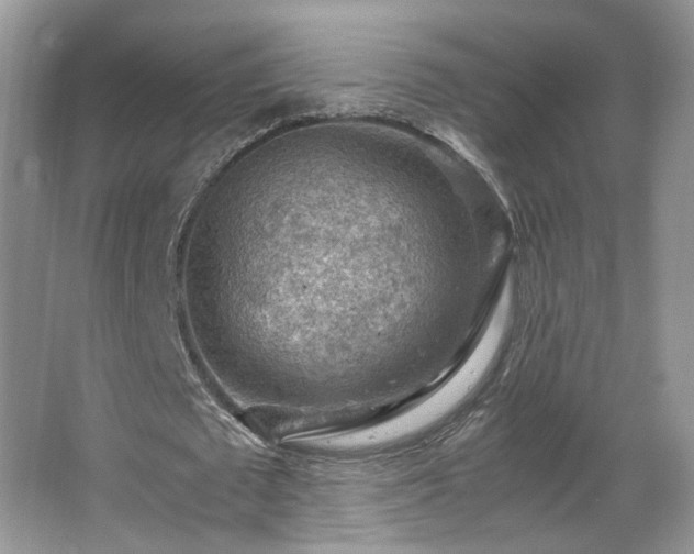 X0000065960673200603061151