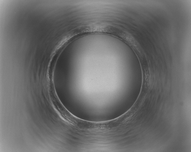 X0000065960674200603061151