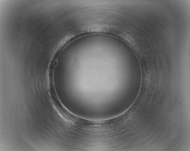 X0000065960678200603061151