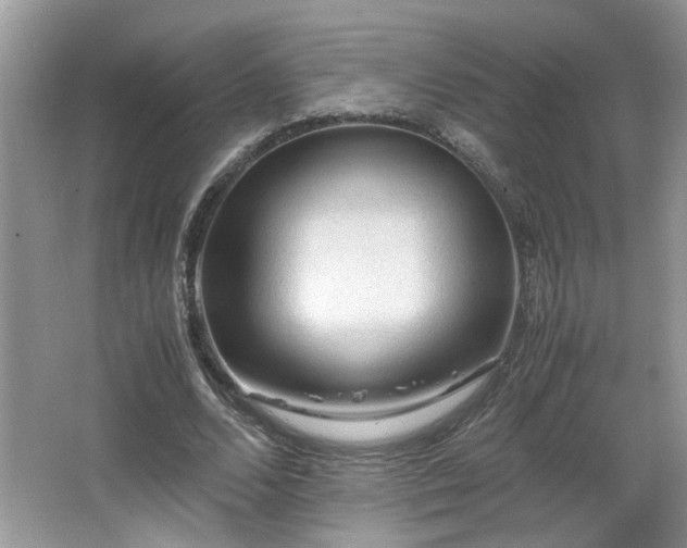 X0000065960680200603061151