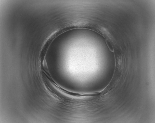 X0000065960684200603061151