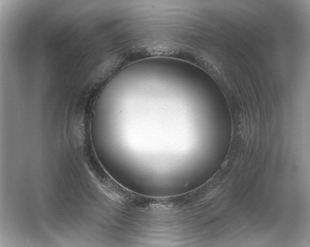 X0000065960690200603061151