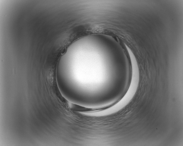X0000065960697200603061151
