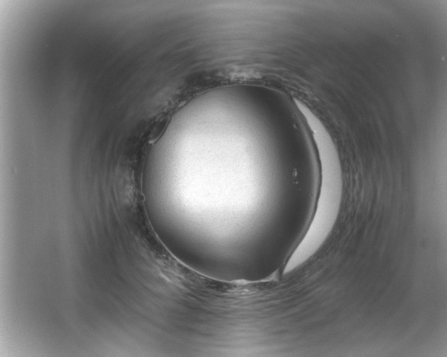 X0000065960704200603061151