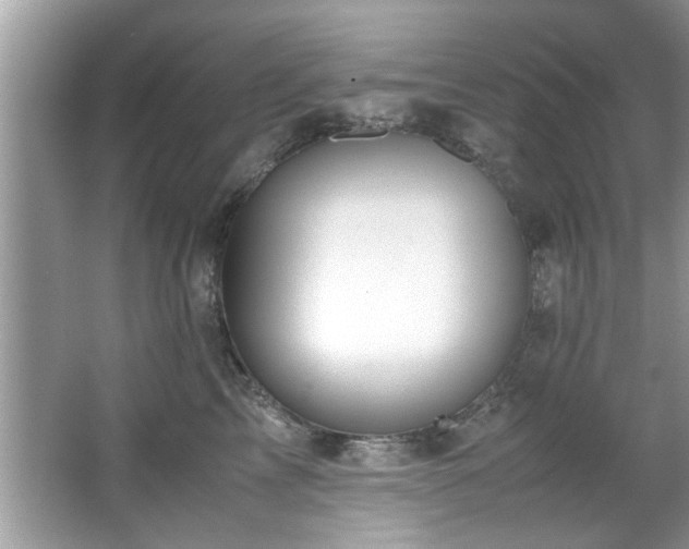 X0000065960713200603061150