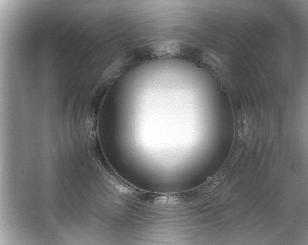 X0000065960714200603061150