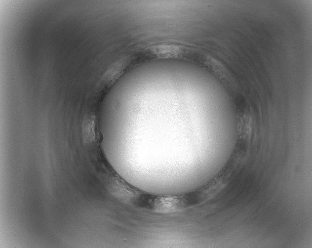 X0000065960717200603061150