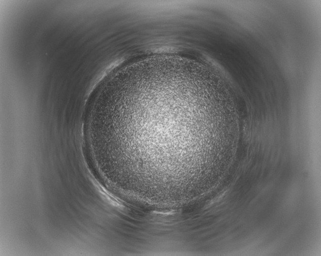 X0000065960725200603061149