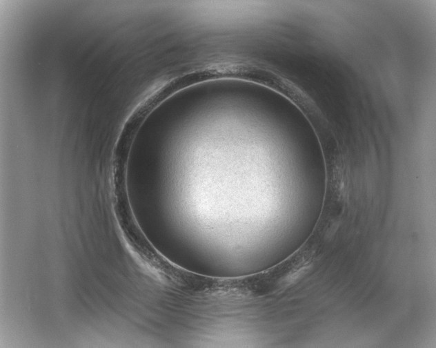 X0000065960730200603061150