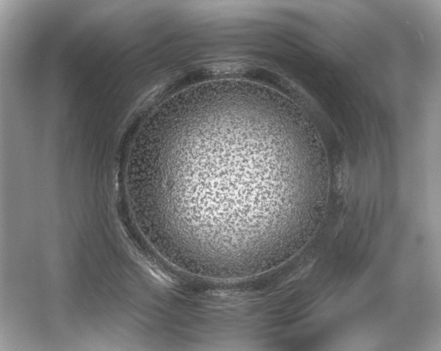 X0000065960733200603061150