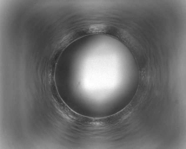 X0000065960741200603061150