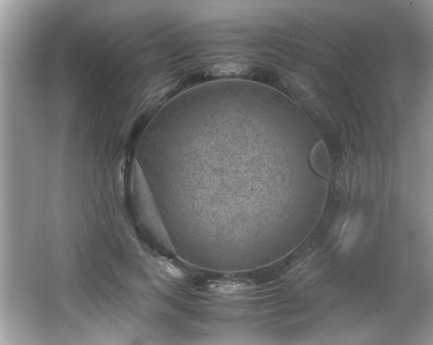 X0000065960743200603061150